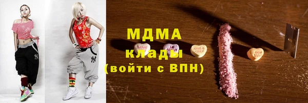 гидра Ельня