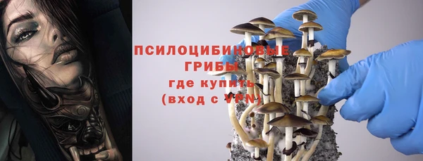 гидра Ельня
