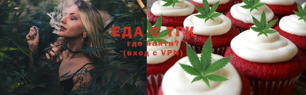гидра Ельня