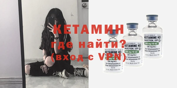 гидра Ельня