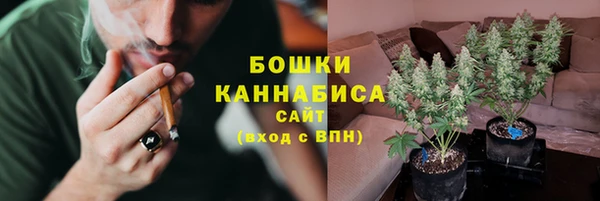 гидра Ельня