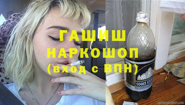 гидра Ельня
