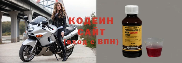 гидра Ельня