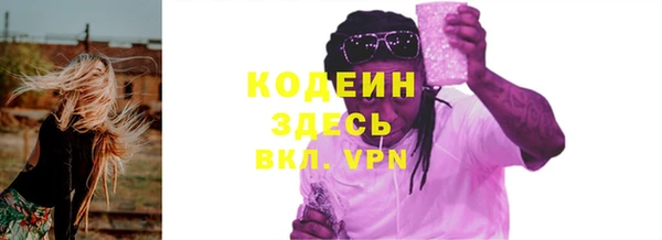 хмурый Елизово