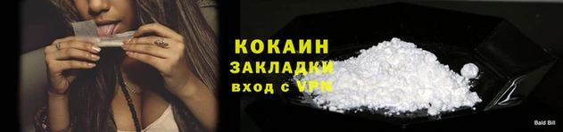 гидра Ельня