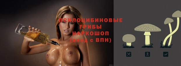 бутират Елабуга