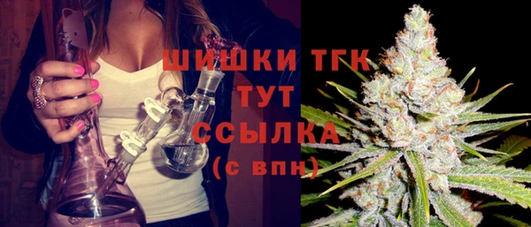 гидра Ельня