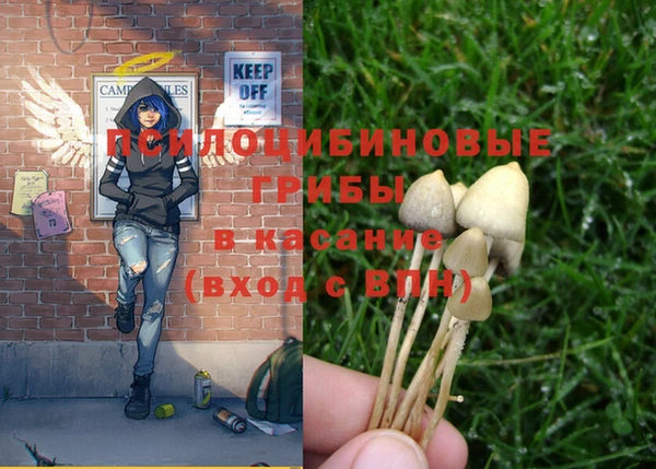 хмурый Елизово