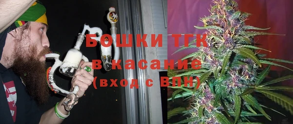гидра Ельня