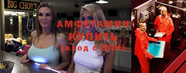 гидра Ельня
