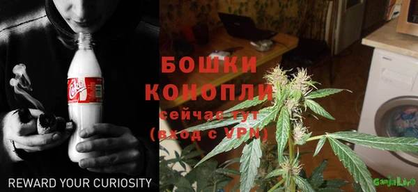 гидра Ельня