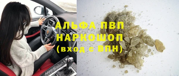 гидра Ельня