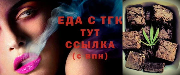 гидра Ельня