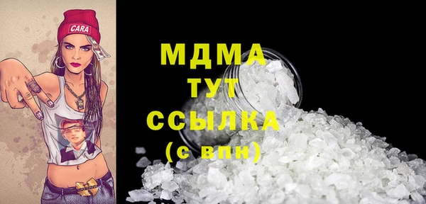 гидра Ельня