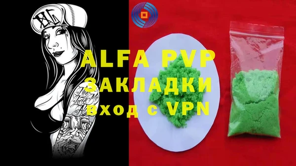 гидра Ельня